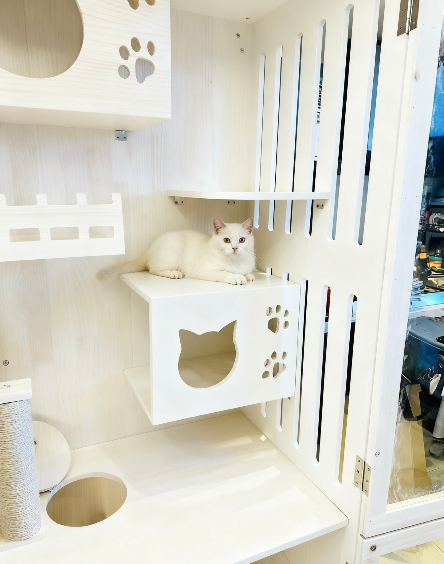 豪華貓別墅｜1.8米高ENF板材貓屋，90cm寬60cm深多層次貓傢俱，室內貓咪專屬私宅，貓櫃，貓跳台