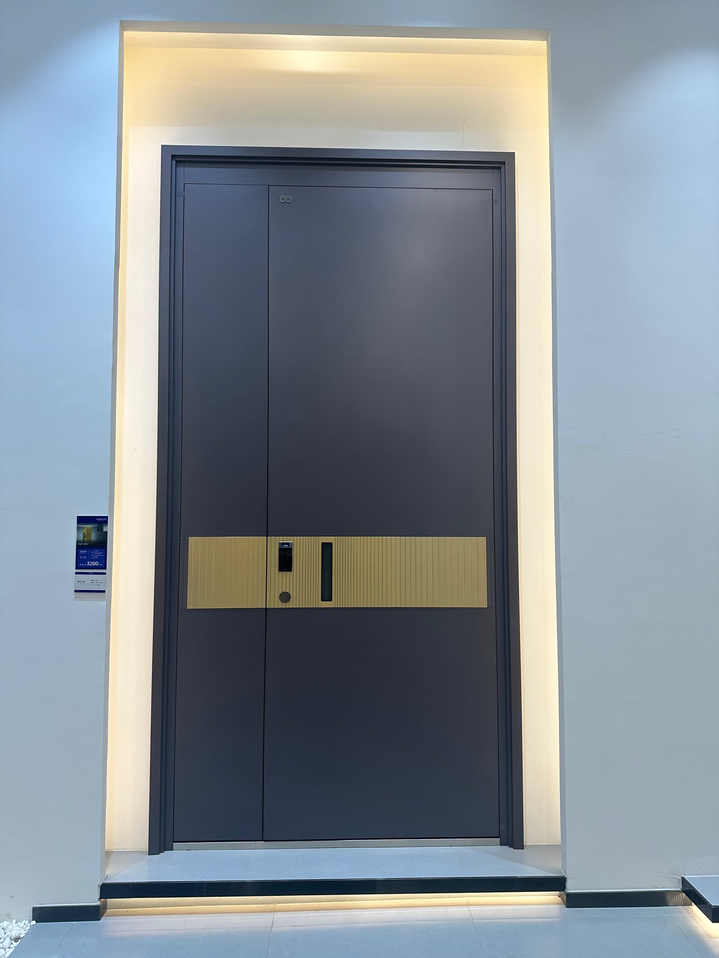 《【港宅奢選】鑄鋁雙開大門｜啞黑配金條紋 豪宅門面夠晒排場》